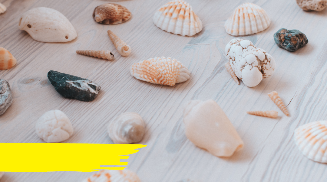 Recreating a beach retreat in your own home